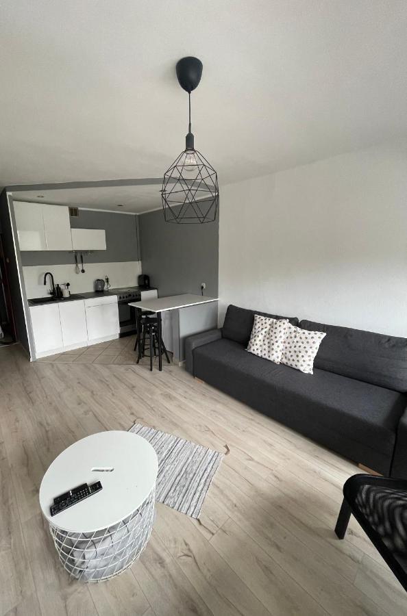 City Center Apartment Katowice Bagian luar foto